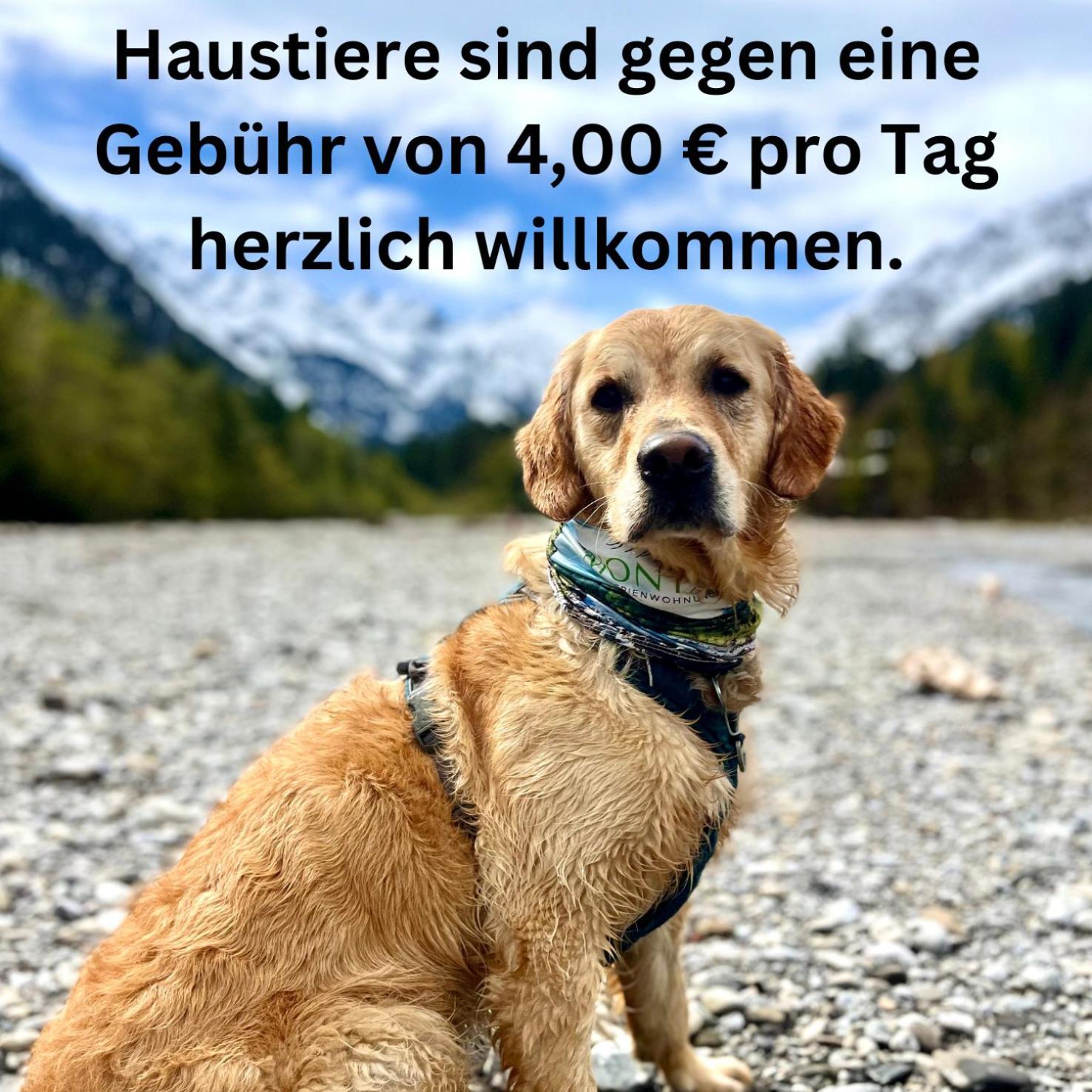 Montana Haus, Fewo A14, A17, B4 Oder C8 奥伯斯特多夫 外观 照片